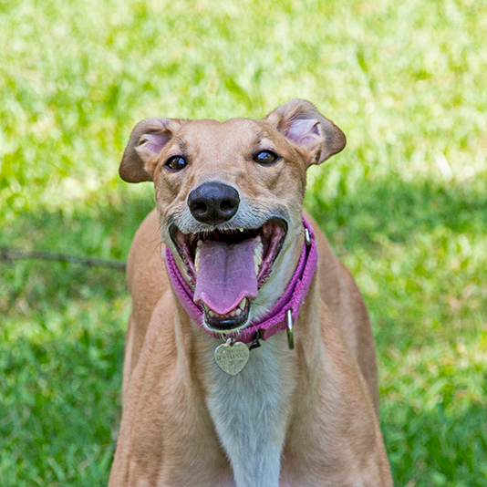Greta b_edited