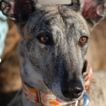 DSC_0129